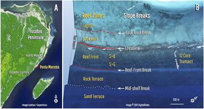 Retrograde Accretion of a Caribbean Fringing Reef Controlled by Hurricanes and Sea-level Rise